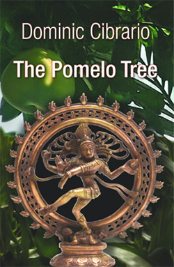 the cover of 'The Pomelo Tree'; designed by Jon Bolton
