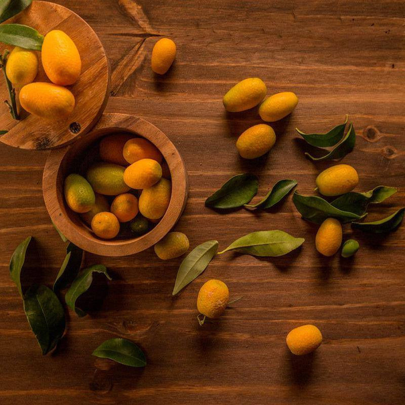 Nagami Kumquat Tree