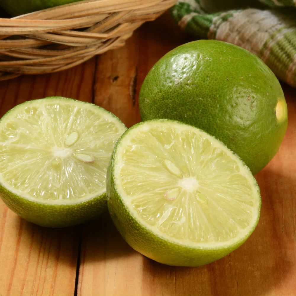 Thornless Mexican (Key) Lime Tree